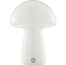 Pilzförmige Tischleuchte