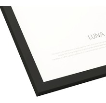 Gros plan d''une impression encadrée avec le texte Luna et des informations sur la lune.