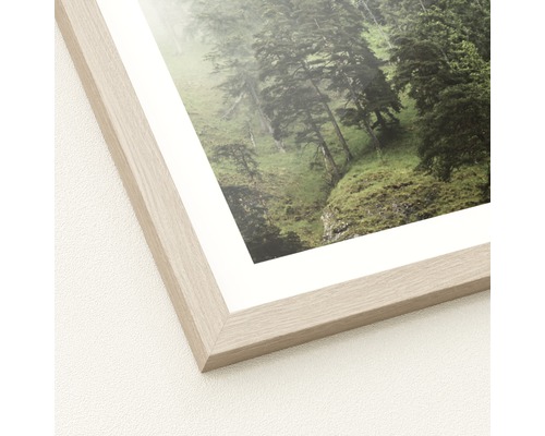 Image encadrée avec motif forestier