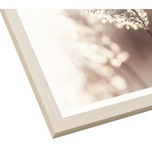 Image encadrée avec motif de nature