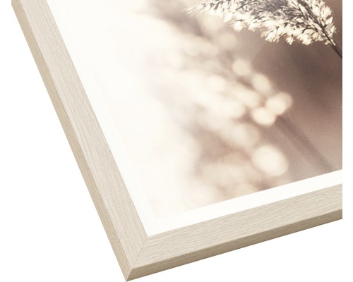 Image encadrée avec motif de nature