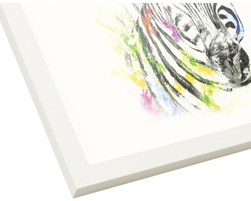 Gerahmtes Zebra Bild mit Farbakzenten