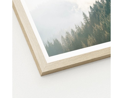 Gerahmtes Bild mit Waldmotiv
