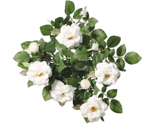 Bouquet de roses blanches avec feuilles vertes