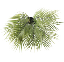 Palmier artificiel en pot, vue de dessus.