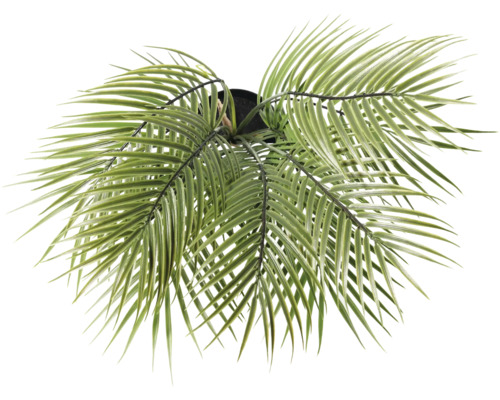 Palmier artificiel en pot, vue de dessus.