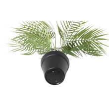 Plante artificielle en pot, vue détaillée d'en haut