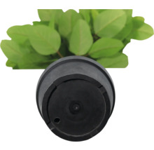 Plante artificielle dans un pot noir