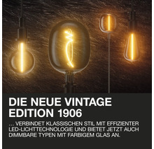 Verschiedene Glühbirnen der Vintage Edition 1906 hängen von der Decke