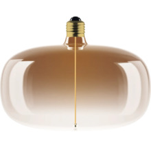 Ampoule décorative avec douille