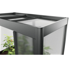 Detailansicht eines Gewächshauses mit Polycarbonatplatten und Aluminiumrahmen
