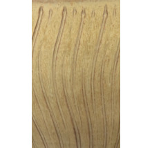 Detailansicht einer Reliefstruktur