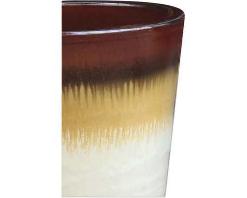 Vue détaillée d'un pot de fleurs multicolore