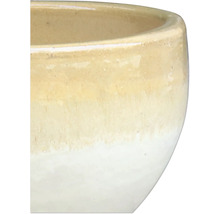 Detailansicht eines Keramikblumentopfs