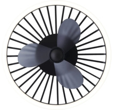 Deckenventilator mit Beleuchtung