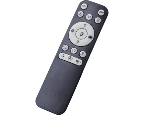 Fernbedienung zur Steuerung von Deckenventilatoren und Beleuchtung