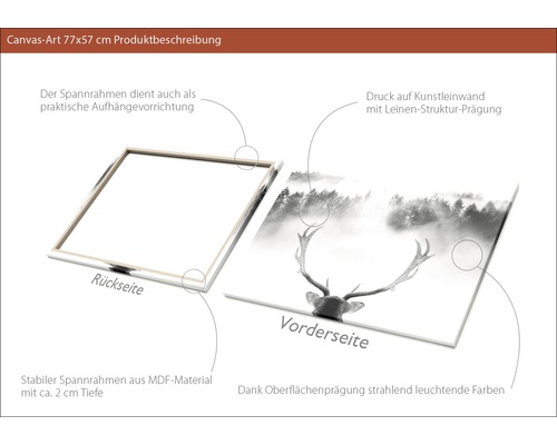 Leinwandbild 77x57 Zentimeter mit Waldmotiv und Hirsch, Keilrahmen aus MDF