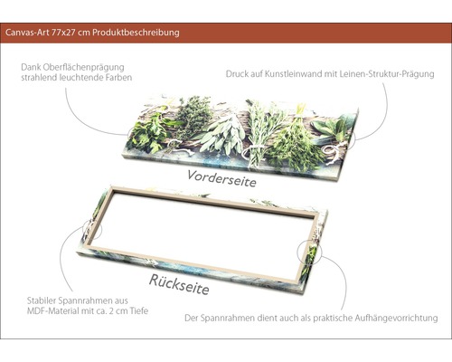 Leinwandbild 77x27 Zentimeter mit Kräutermotiv, Vorder- und Rückseite