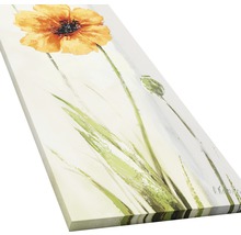 Leinwandbild New Poppy Variation I 27x77 cm