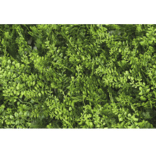 Künstliche Pflanzenwand mit verschiedenen grünen Blättern für Dekoration