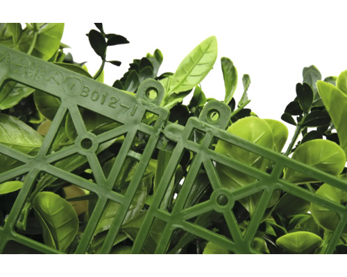 Detailaufnahme von künstlichen Buchsbaumhecken-Paneelen, die miteinander verbunden sind