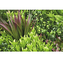 Künstliche Pflanzenwand mit Farnen und Blättern