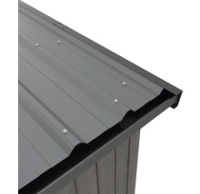 Vue détaillée d'un abri de jardin avec toit en métal