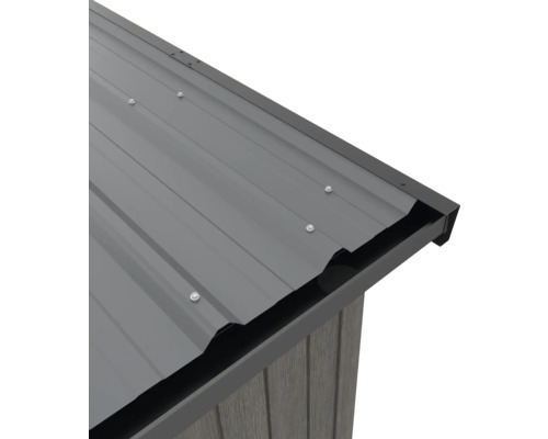 Vue détaillée d'un abri de jardin avec toit en métal