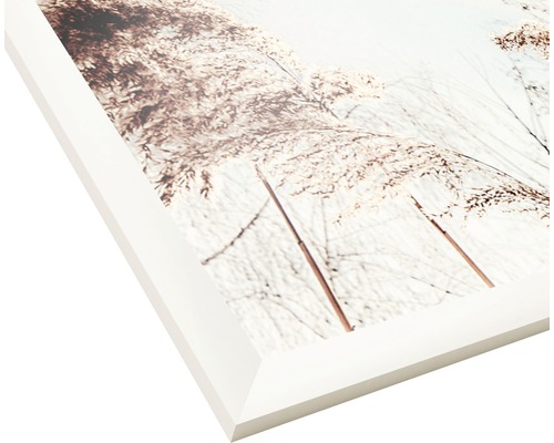 Detailansicht eines gerahmten Bildes mit einer Darstellung von Gräsern