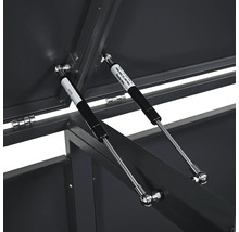 Vue détaillée d'un coffre de rangement ouvert avec ressorts à gaz.