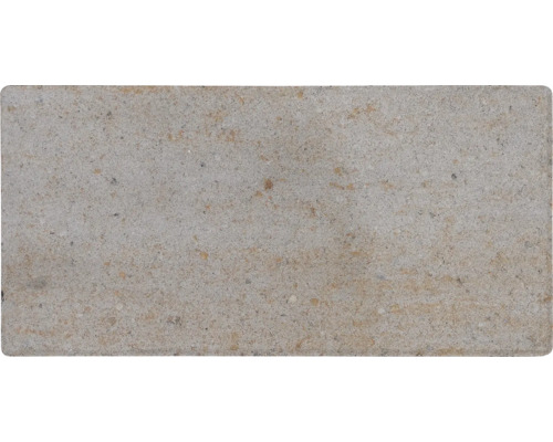 Pavé en béton avec surface rugueuse