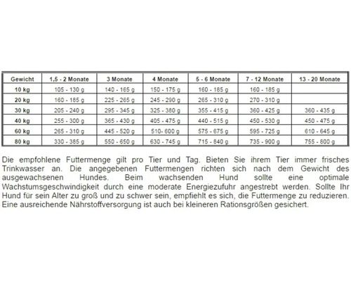 Fütterungsempfehlung für Hunde nach Gewicht und Alter