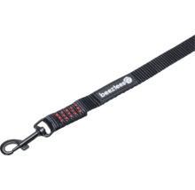 Laisse pour chien