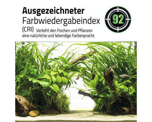 Éclairage d'aquarium Fluval Nano Plant 4.0 LED commande via l