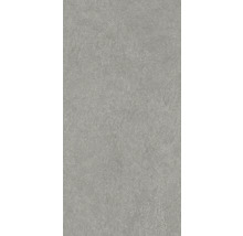 Aspect béton gris pour l'intérieur