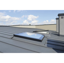 Toit avec fenêtres de toit et cheminée