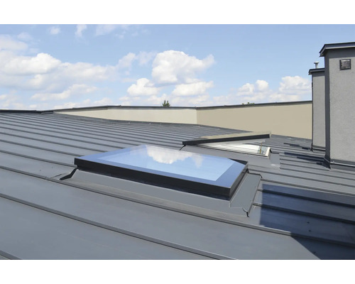 Toit avec fenêtres de toit et cheminée