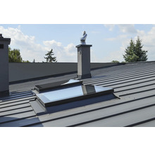 Metalldach mit Dachfenster und Kamin