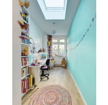 Pièce lumineuse avec bibliothèque, bureau, fenêtre de toit et tapis