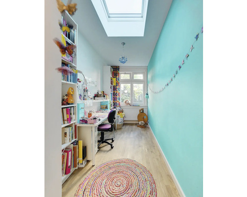 Pièce lumineuse avec bibliothèque, bureau, fenêtre de toit et tapis