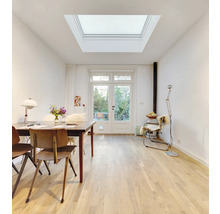 Pièce lumineuse avec fenêtre de toit, table à manger et accès au jardin