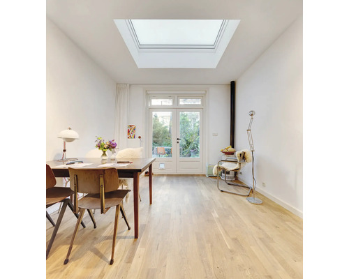 Pièce lumineuse avec fenêtre de toit, table à manger et accès au jardin