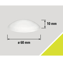 Schéma du produit avec un diamètre de 60 mm et une hauteur de 10 mm