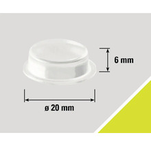 Patins pour meubles, diamètre 20 millimètres, hauteur 6 millimètres