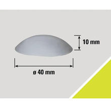 Halbkugelförmiger Möbelknopf, Durchmesser 40 Millimeter