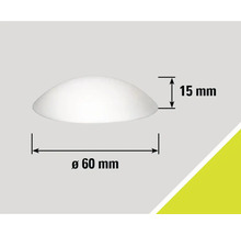 Illustration avec indication des dimensions : diamètre 60 mm, hauteur 15 mm