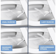 Vier Darstellungen einer Toilette mit Bidetfunktion und verschiedenen Strahlarten