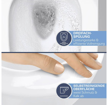 Detailansicht einer Toilette mit Dreifachspülung und selbstreinigender Oberfläche