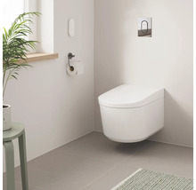 Salle de bains moderne avec WC suspendu, porte-papier toilette et plante d'intérieur