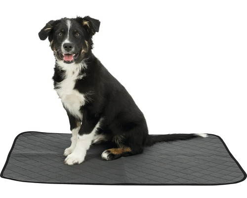 Hund sitzt auf einer grauen, gesteppten Unterlage für Haustiere